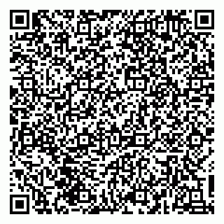 vCard 79135400019