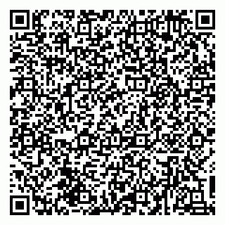 vCard 79135400039