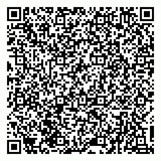 vCard 79135400067