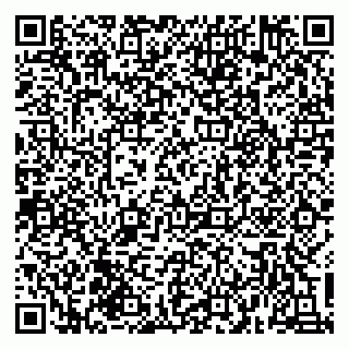 vCard 79135400093
