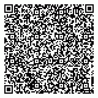 vCard 79135400226