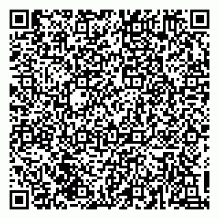 vCard 79135400232