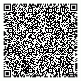 vCard 79135400336