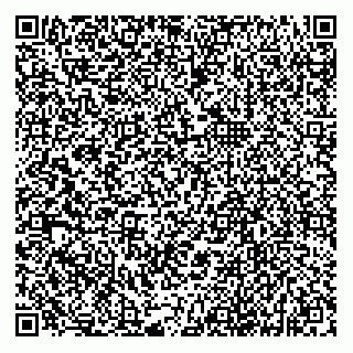 vCard 79135405523