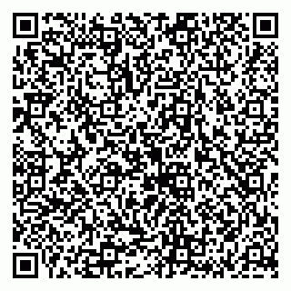 vCard 79136000963