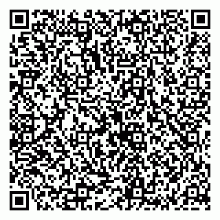 vCard 79136000993