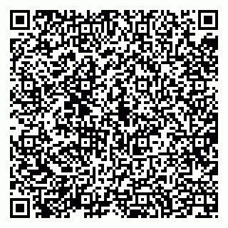 vCard 79136002001