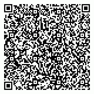 vCard 79136002133