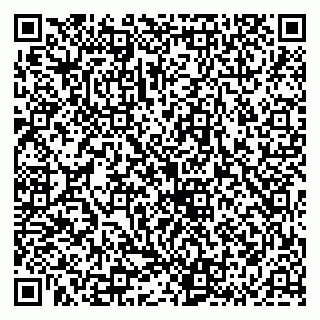vCard 79136002163
