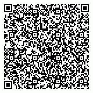 vCard 79136002174