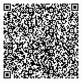 vCard 79136002181