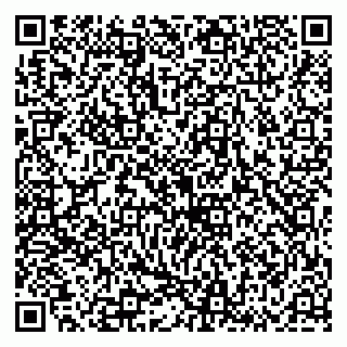 vCard 79136002385