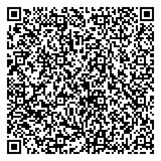 vCard 79136002803