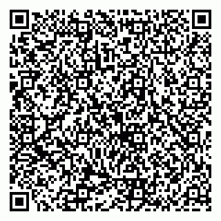 vCard 79136003133