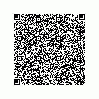 vCard 79137000209