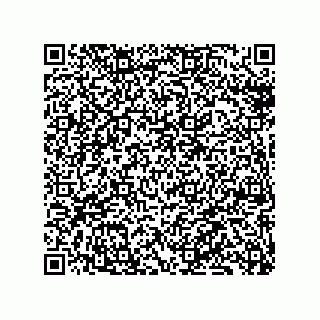 vCard 79137000315