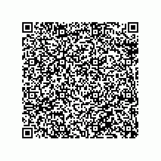 vCard 79137000500