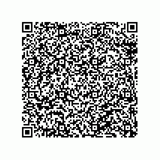 vCard 79137010002