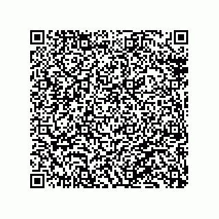vCard 79137010022