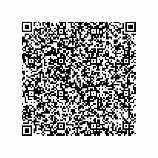 vCard 79137020153