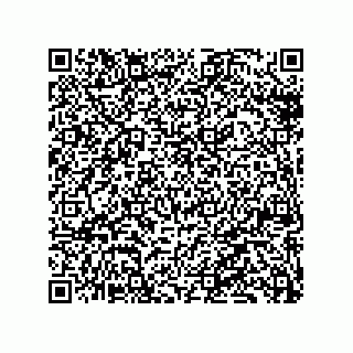 vCard 79137020416