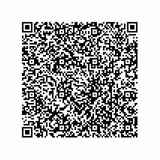 vCard 79137020516