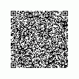 vCard 79137053333