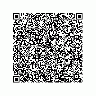 vCard 79137053377
