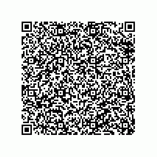 vCard 79137053385