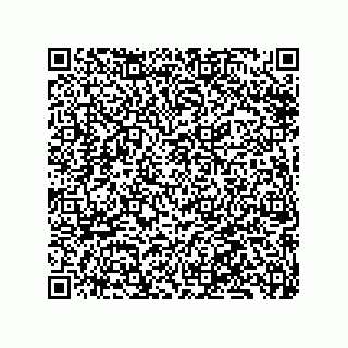 vCard 79137053389