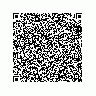vCard 79137053399