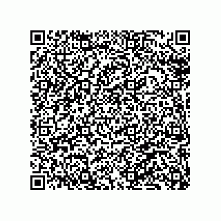 vCard 79137054005