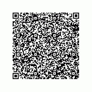 vCard 79137082019