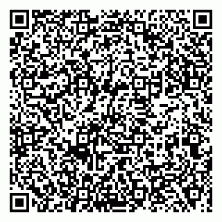 vCard 79138000001