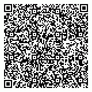 vCard 79138000173