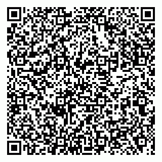 vCard 79138000539