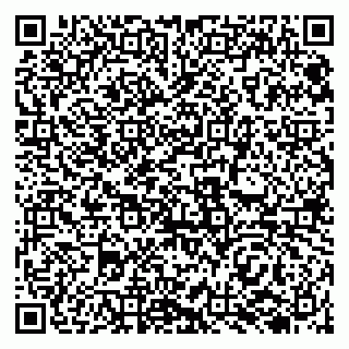 vCard 79138000743