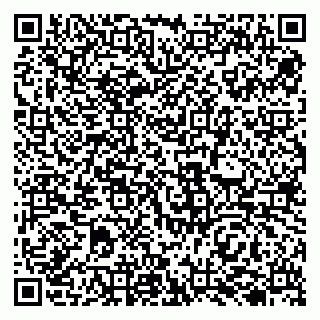 vCard 79138000839