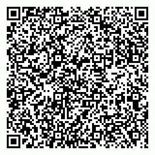 vCard 79138001139