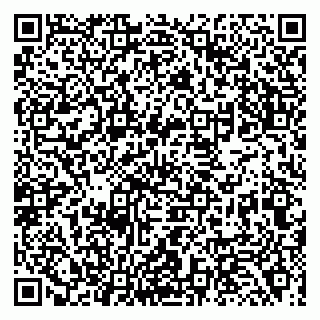 vCard 79138001210