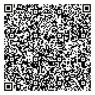 vCard 79138001211