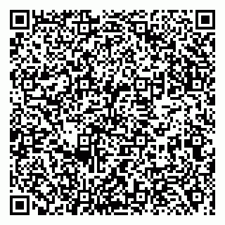 vCard 79138001215