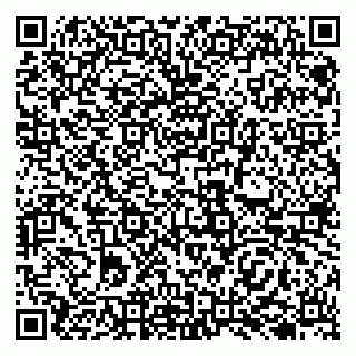 vCard 79138001216