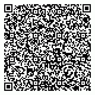 vCard 79138001217