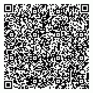 vCard 79138001219