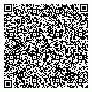 vCard 79138001220