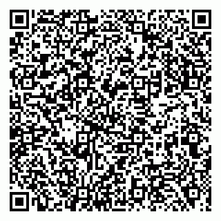 vCard 79138001231