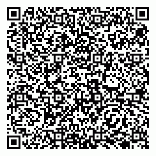 vCard 79138001239