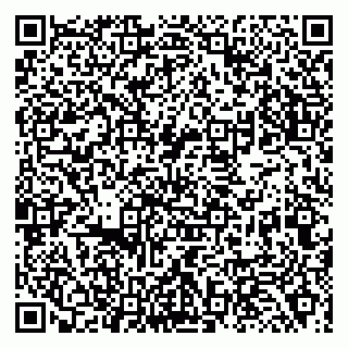 vCard 79138001240