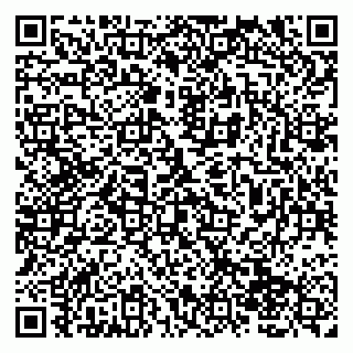 vCard 79138001260